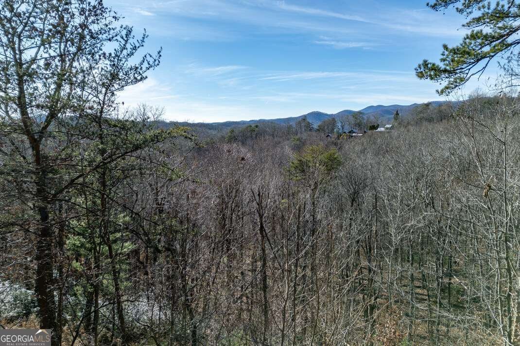 100 Smith Hill Road Cherry Log - 3