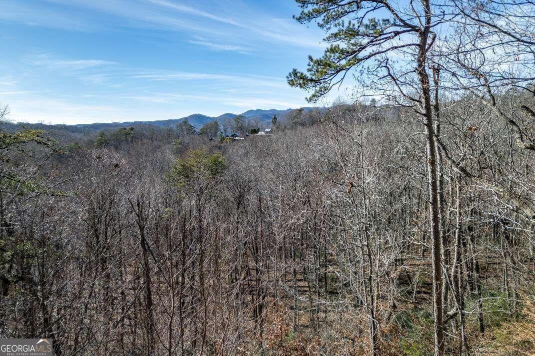 100 Smith Hill Road Cherry Log - 66