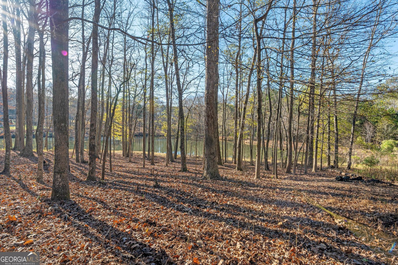 117 Martins Pond Road Newnan - 51