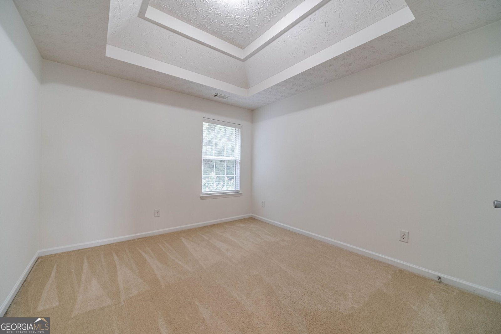 4523 Grove Lake Street Loganville - 27