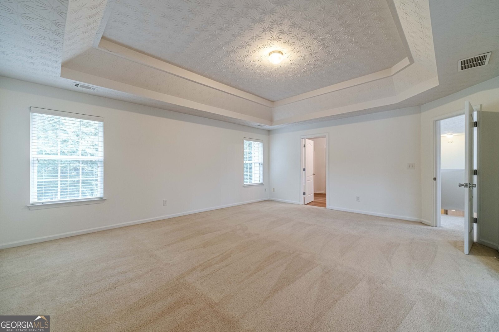 4523 Grove Lake Street Loganville - 33