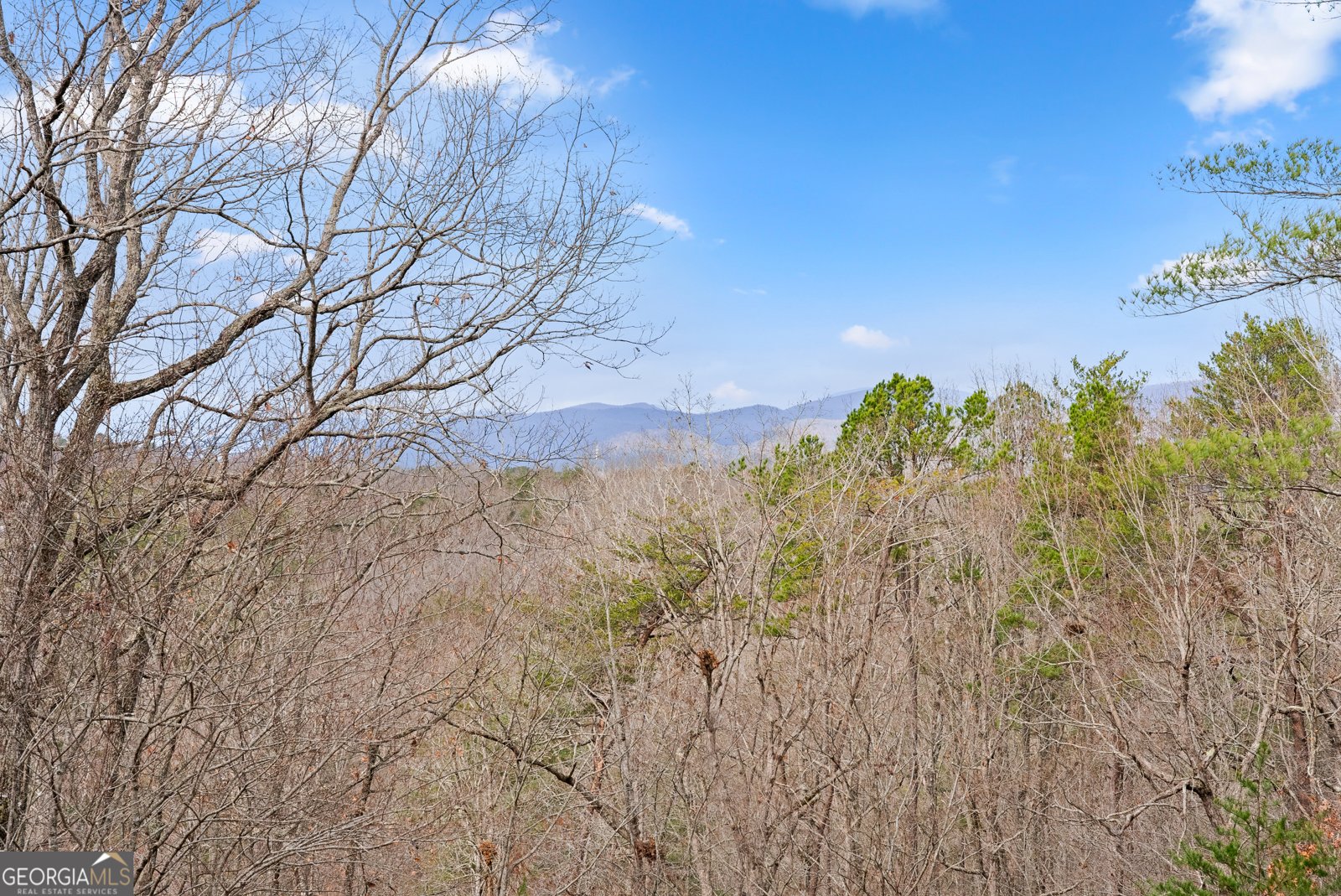 22 Highland Road Sautee Nacoochee - 59