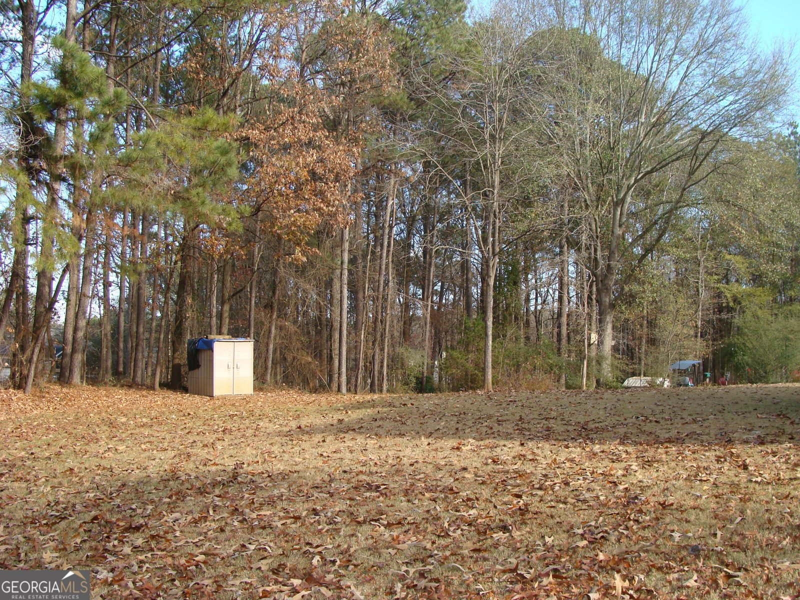 600 Tribble Way Loganville - 43