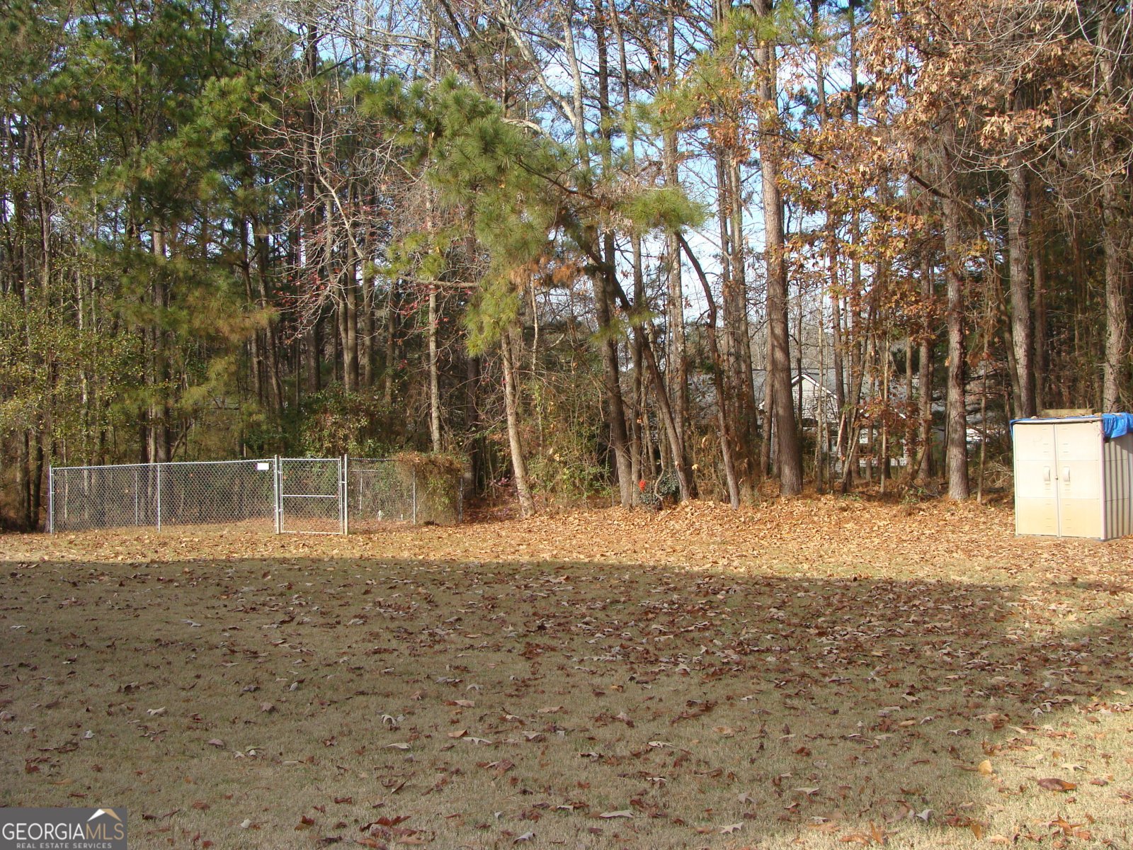 600 Tribble Way Loganville - 45