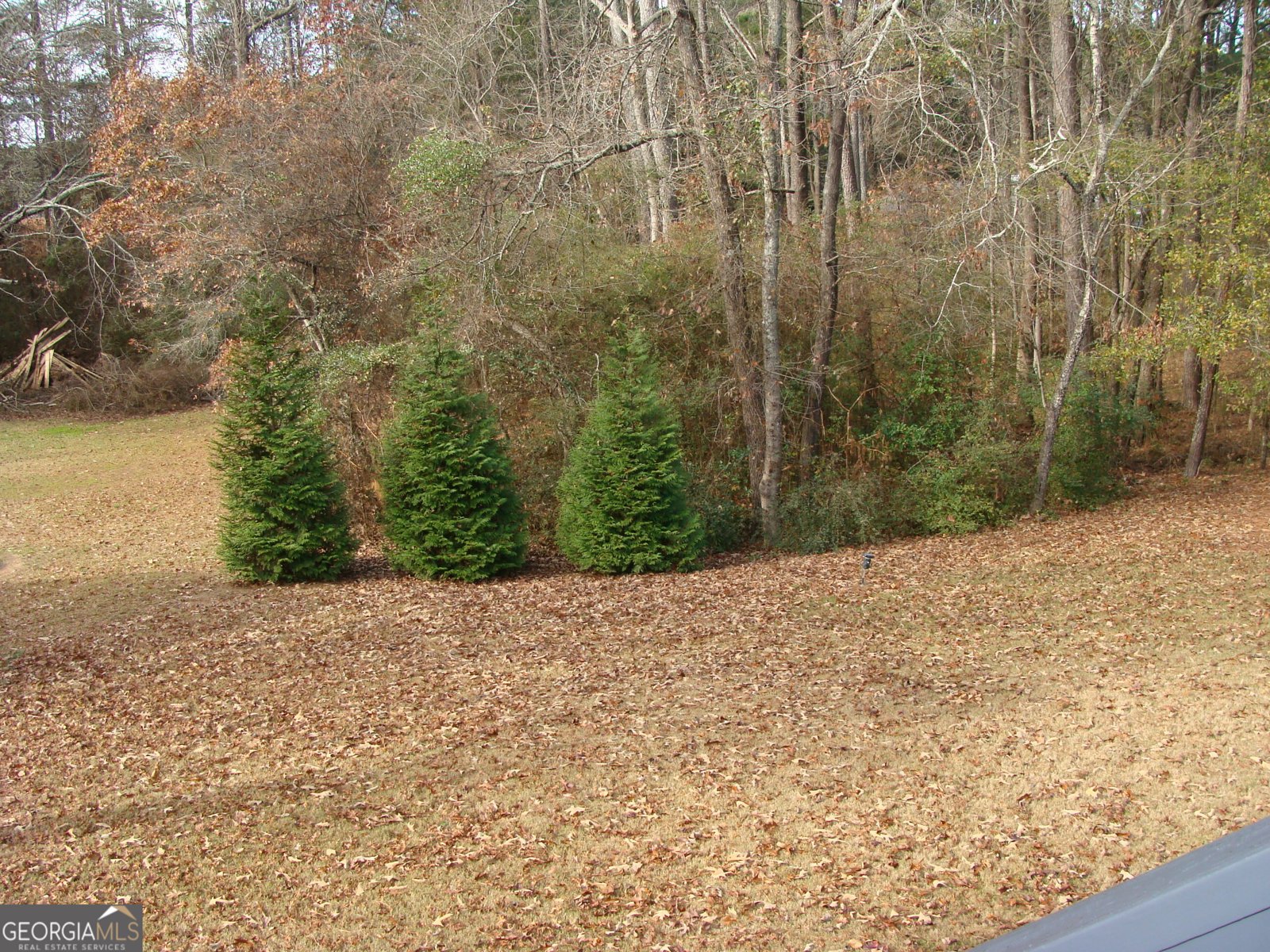 600 Tribble Way Loganville - 48