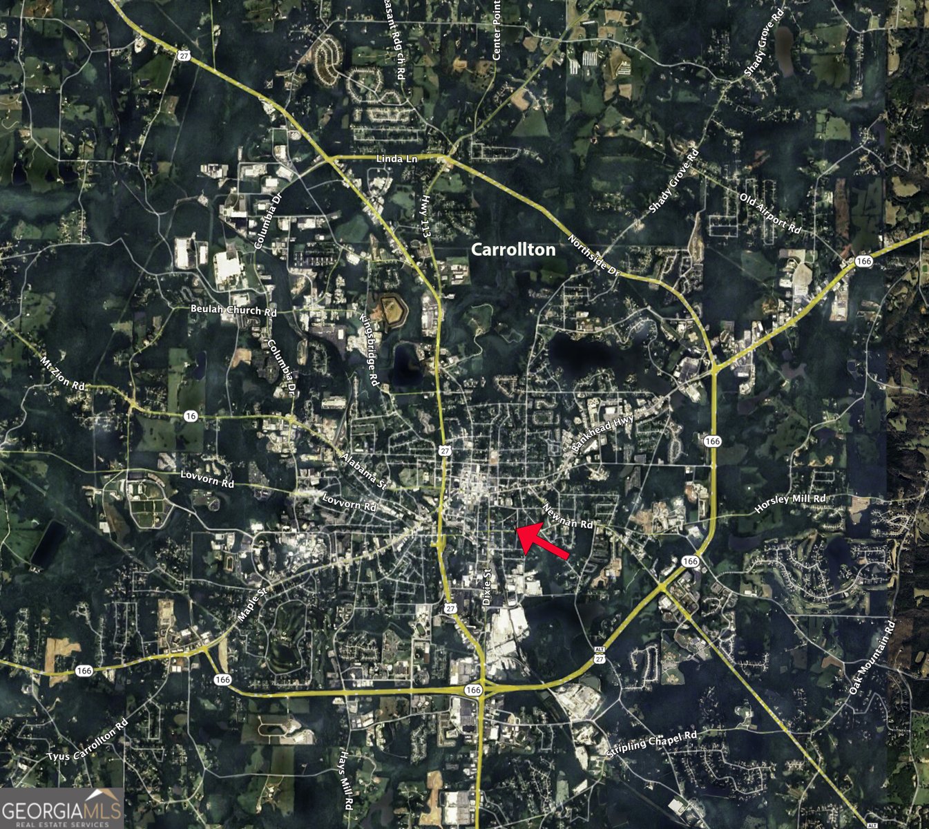 209 Hill Drive Carrollton - 50