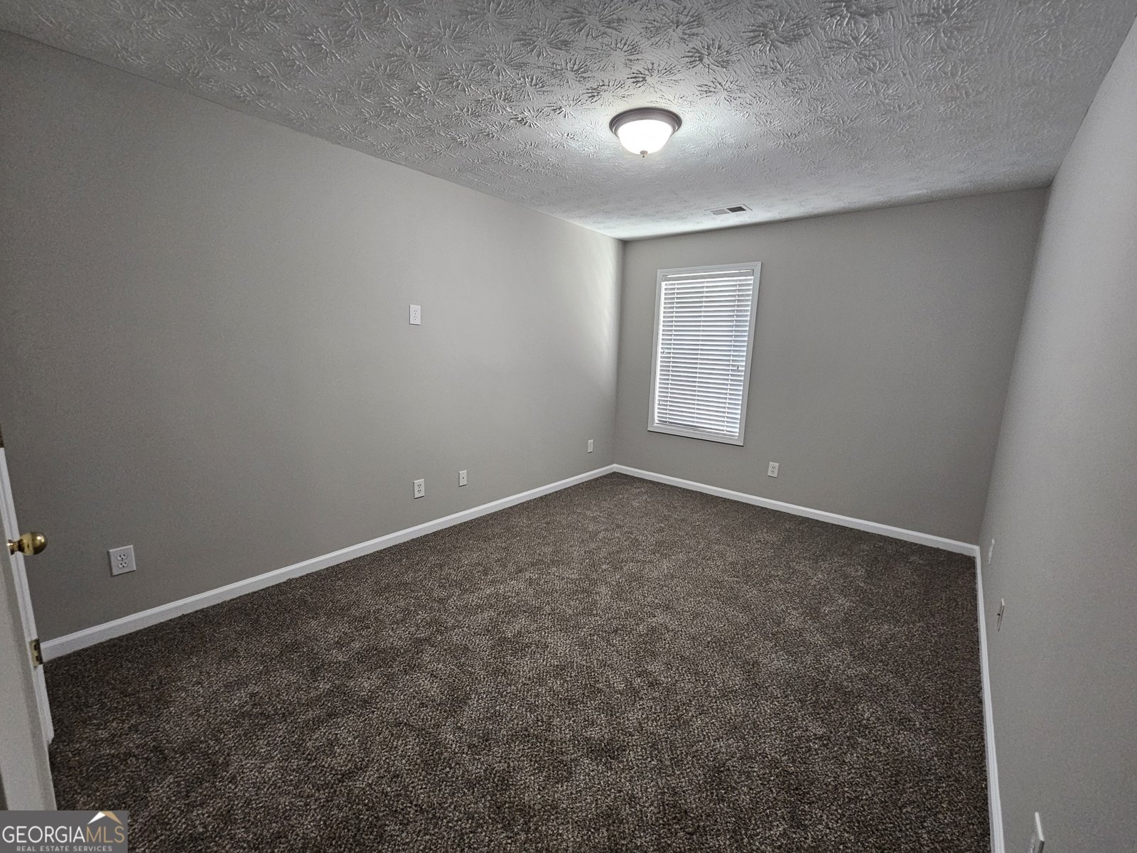 1016 Maple Leaf Drive Mcdonough - 28