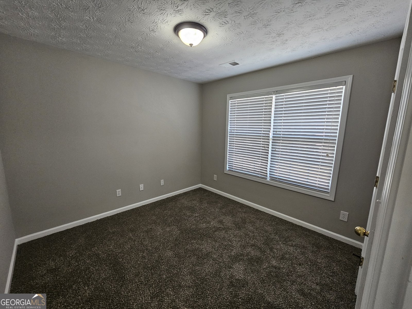 1016 Maple Leaf Drive Mcdonough - 37