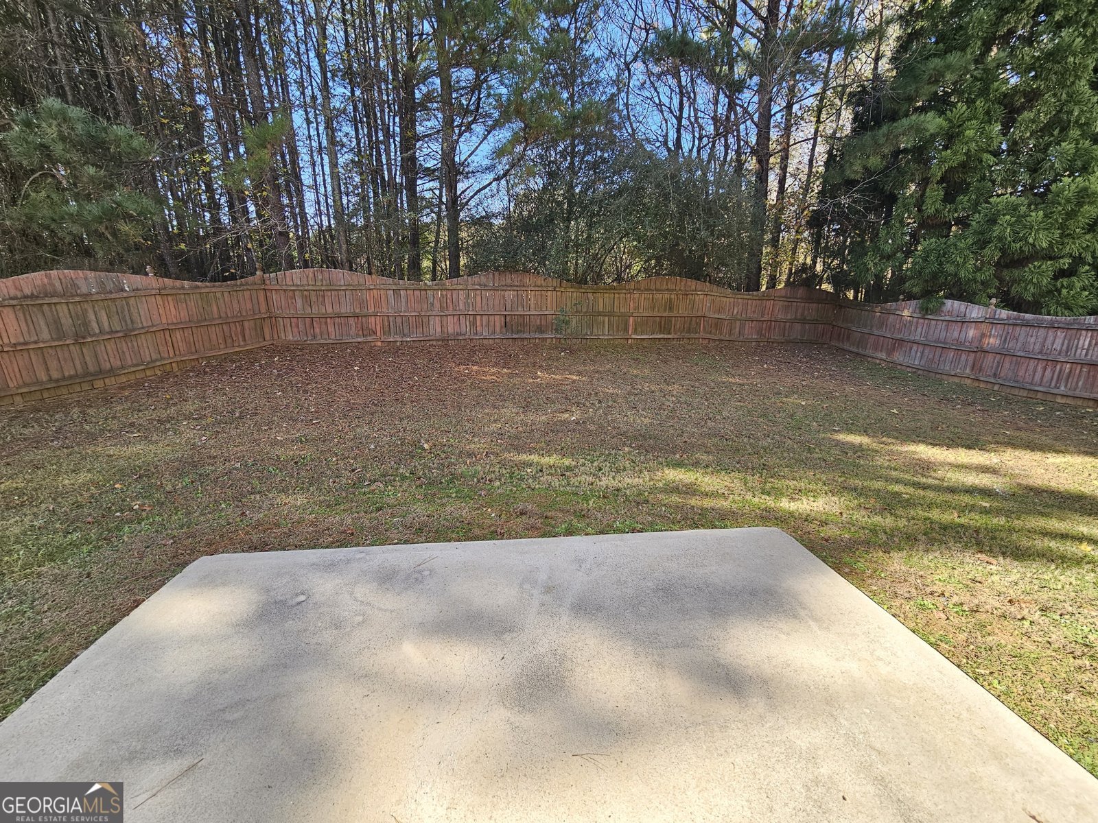 1016 Maple Leaf Drive Mcdonough - 43