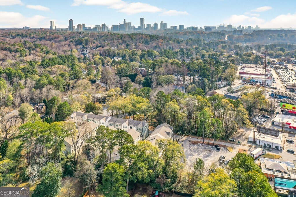 4455 Dandelion Lane Atlanta - 38