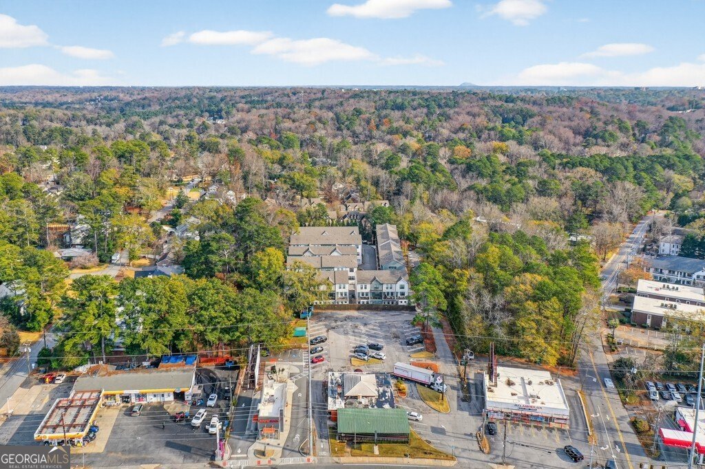 4455 Dandelion Lane Atlanta - 39