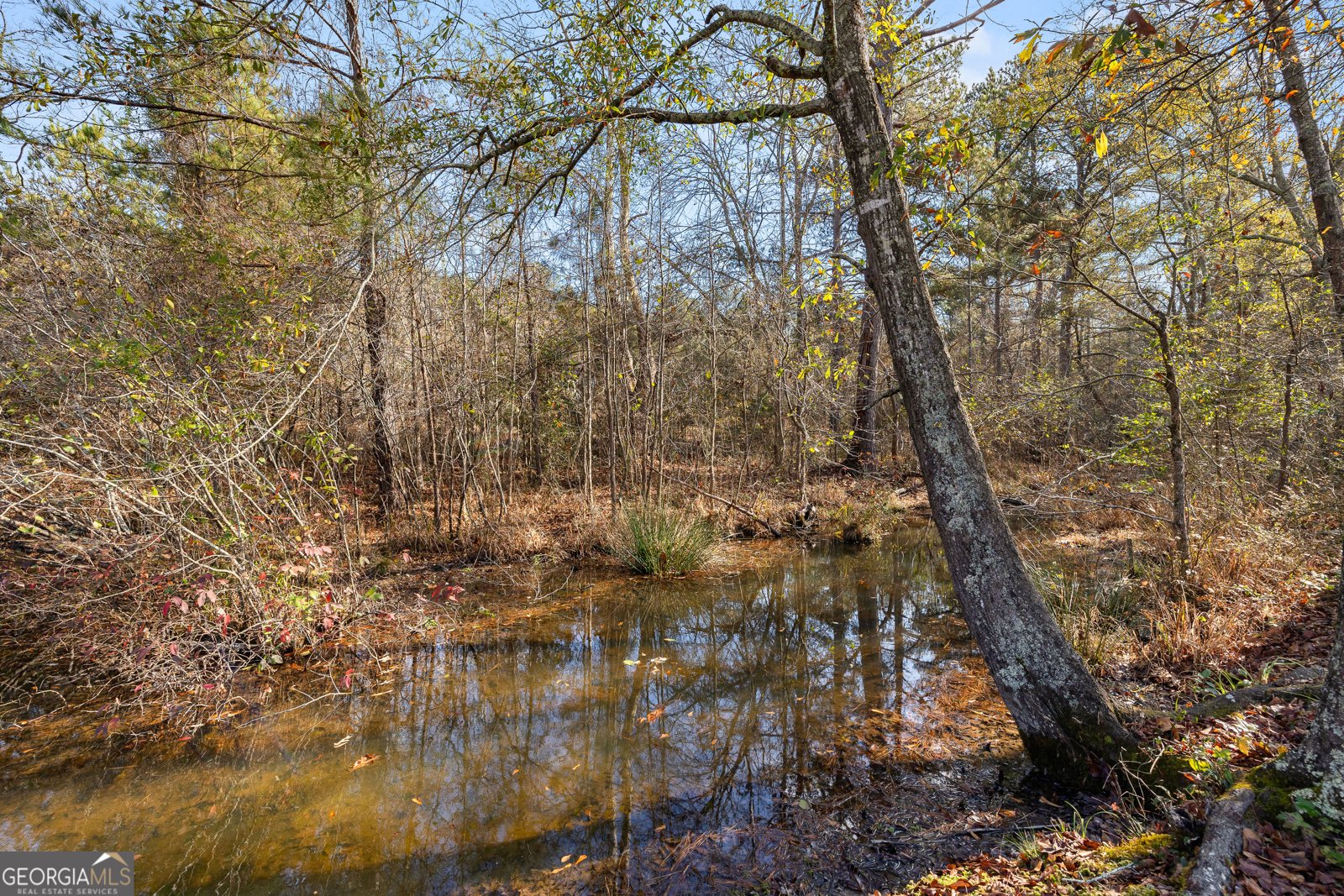 49 Lagrange Highway Greenville - 73