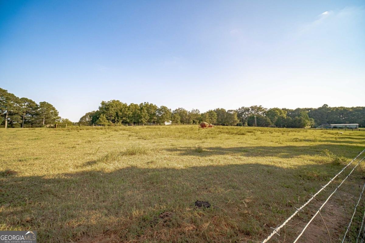 1081 Rehoboth Road Bishop - 12