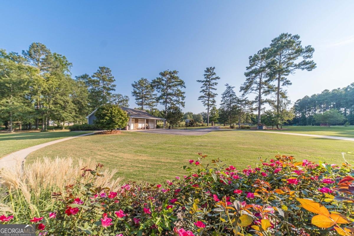 1081 Rehoboth Road Bishop - 24