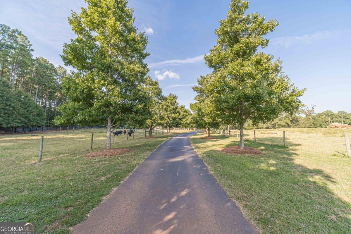 1081 Rehoboth Road Bishop - 6