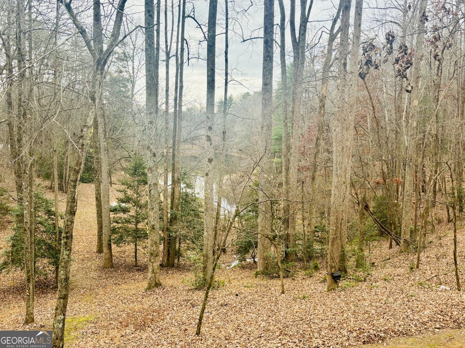 1048 Echota Road Clarkesville - 32