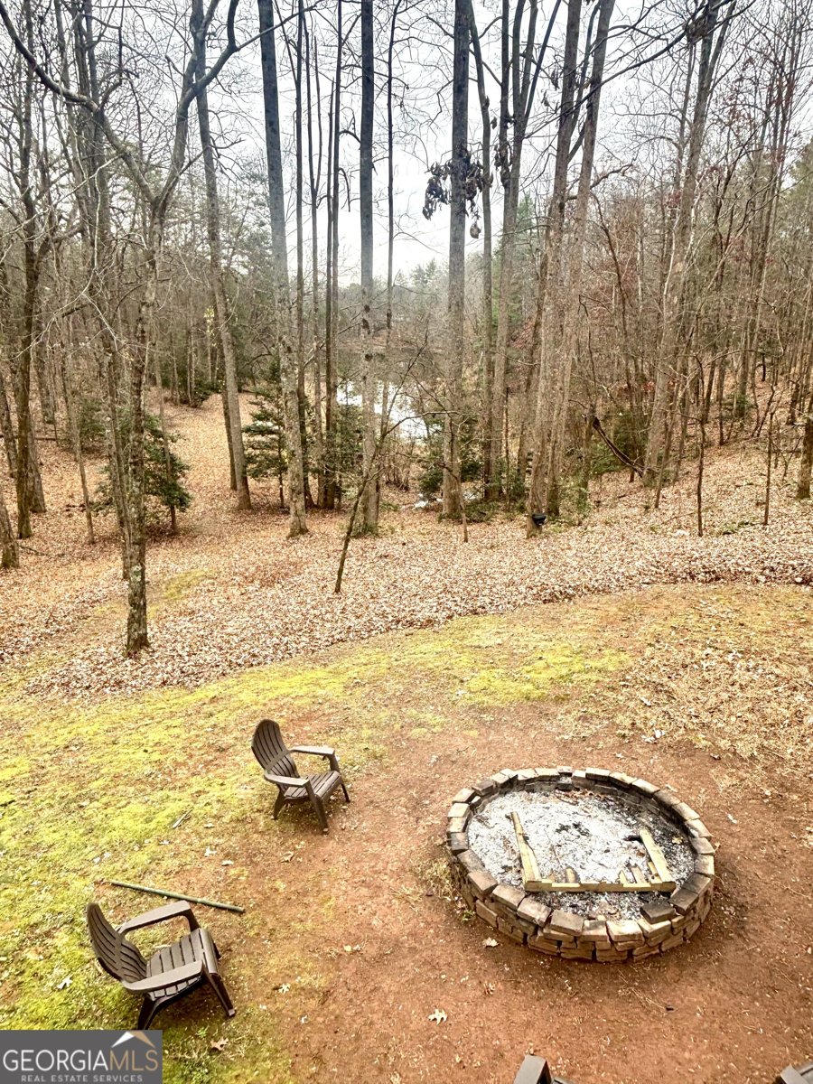 1048 Echota Road Clarkesville - 34