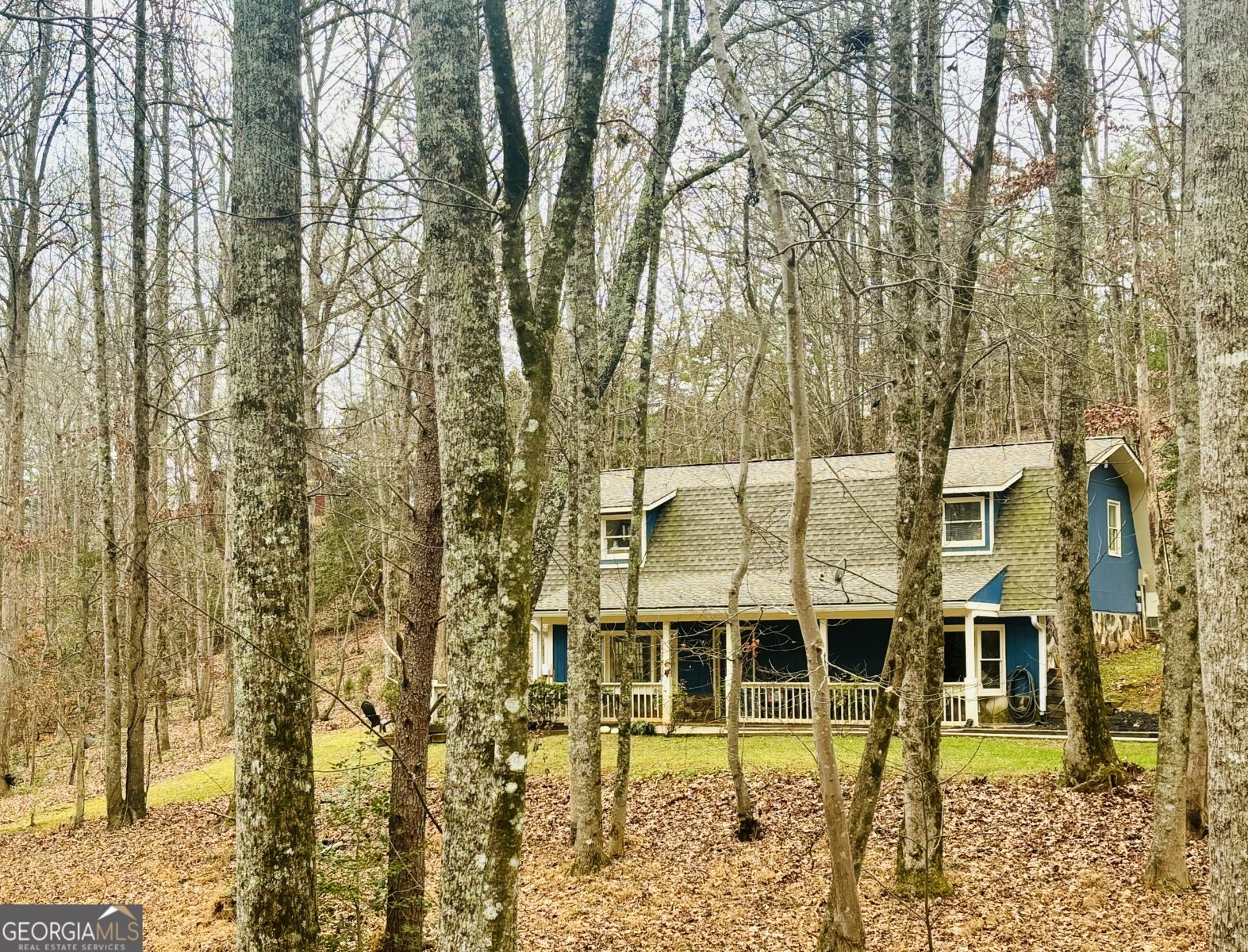 1048 Echota Road Clarkesville - 47