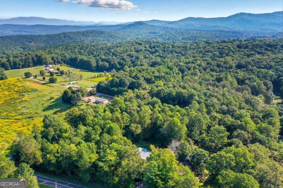 2450 Jones Mountain Road Talking Rock - 6