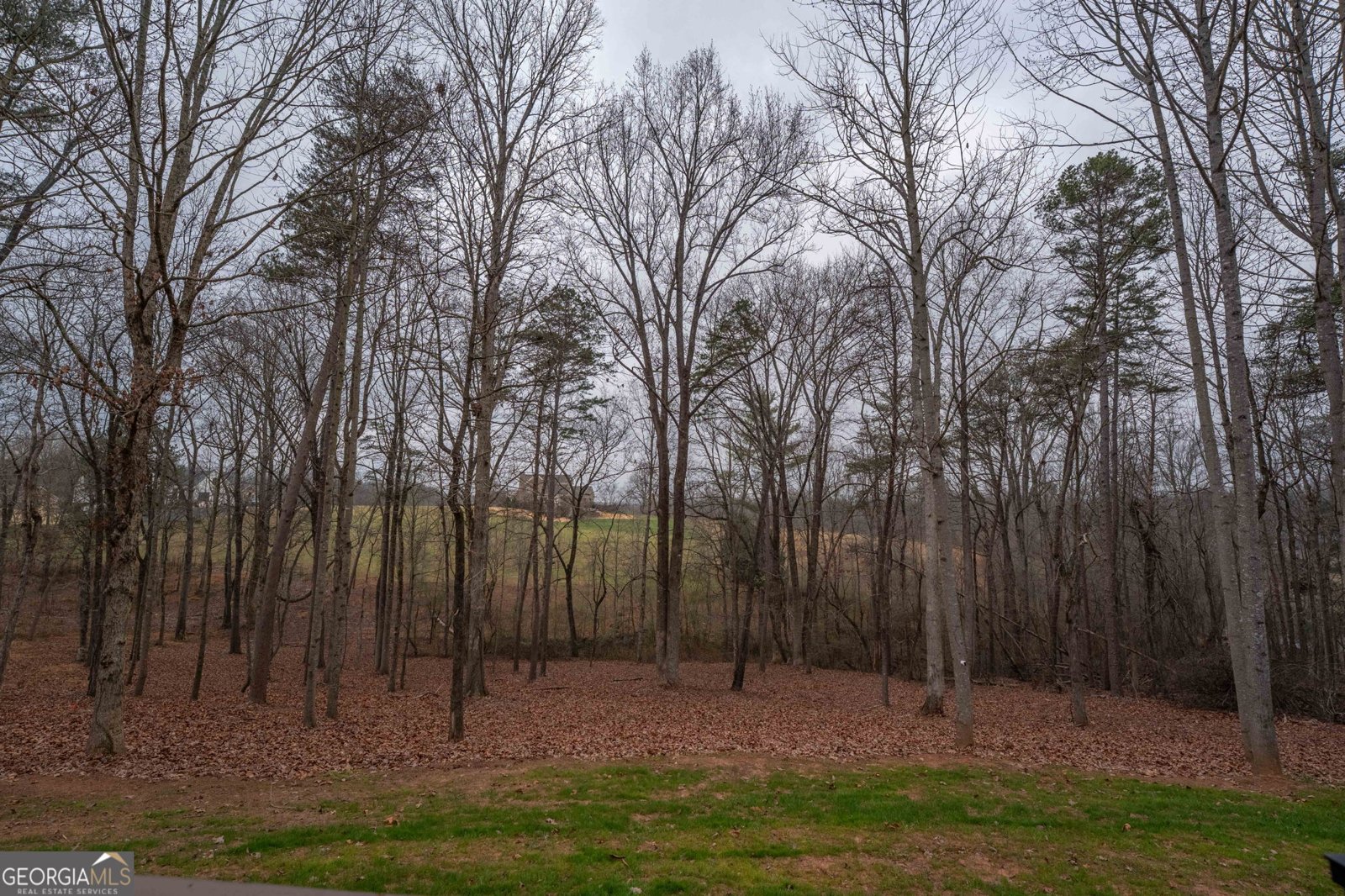 712 Meadow Run Court Clarkesville - 75