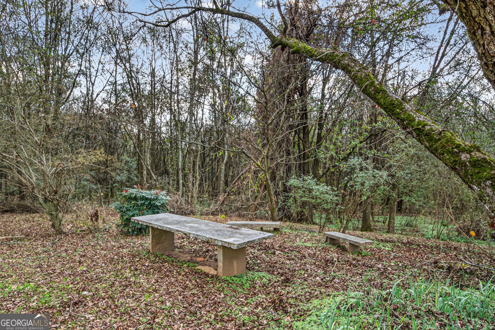 754 Highway 72 Comer - 39