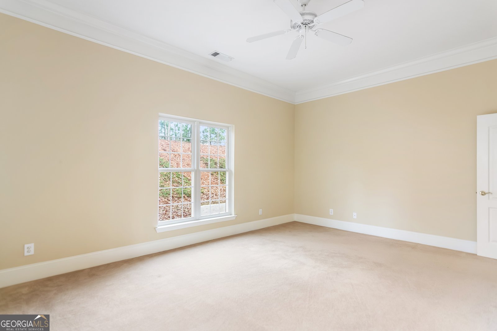 8010 Scudder Way Ball Ground - 19