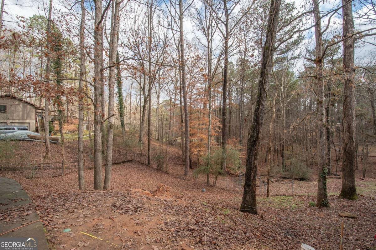 134 Rustica Drive Newnan - 27