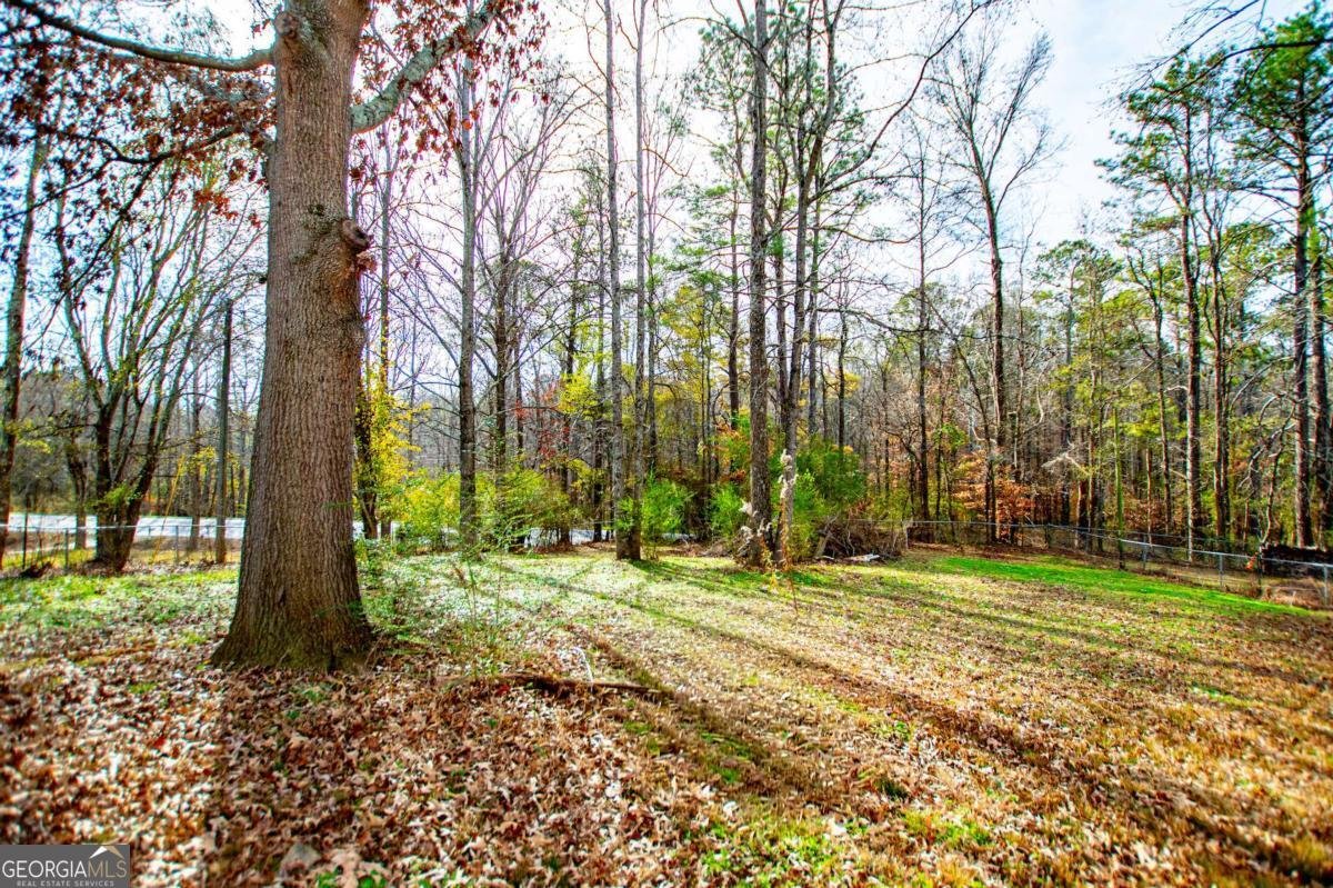 31 Chelsea Way Villa Rica - 16