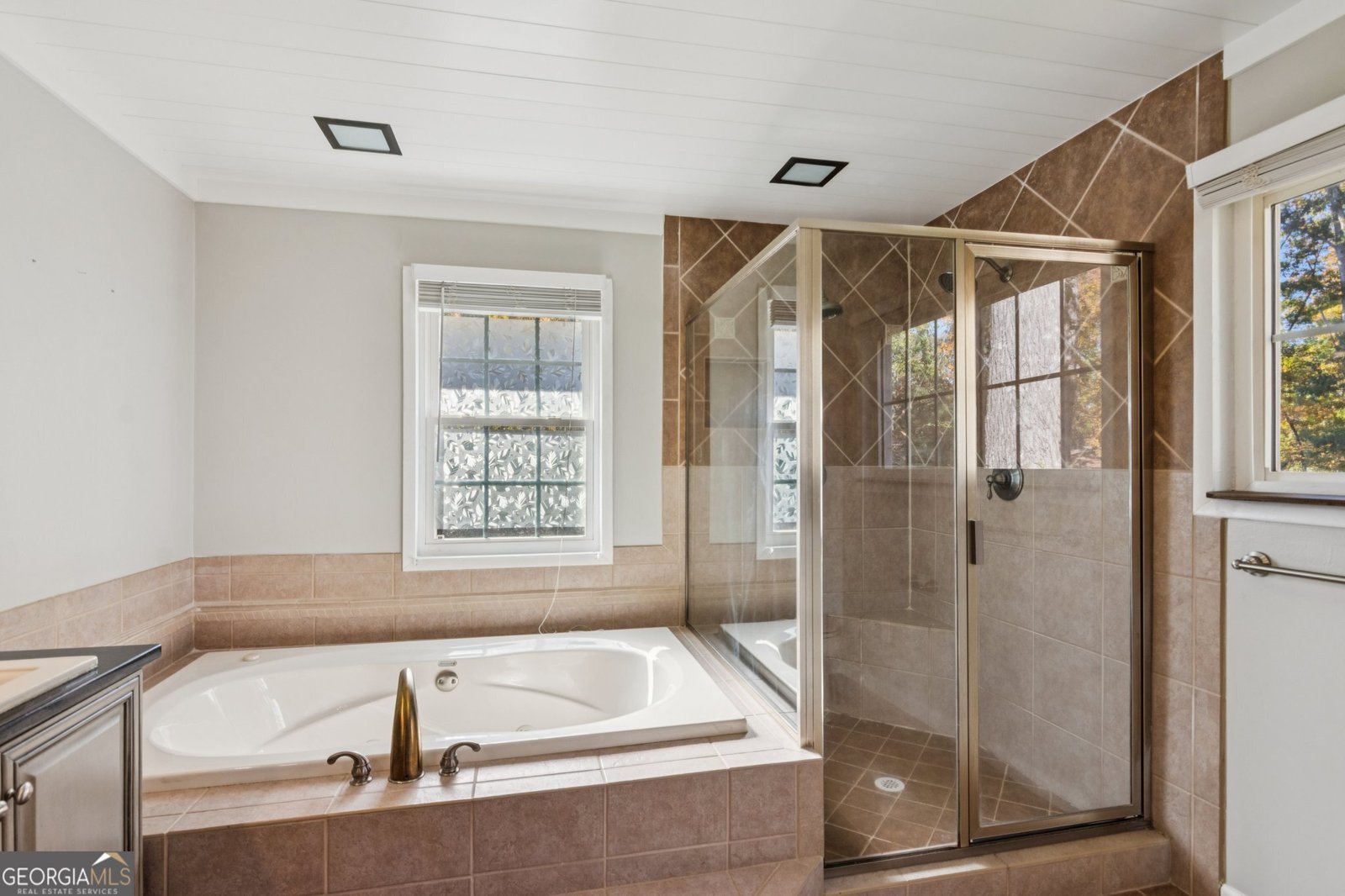 6265 Reives Road Cumming - 20