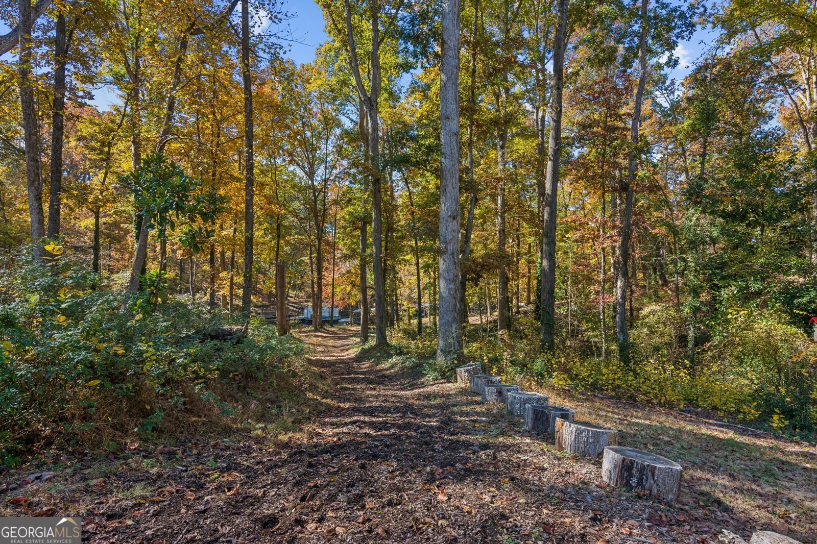 6265 Reives Road Cumming - 36