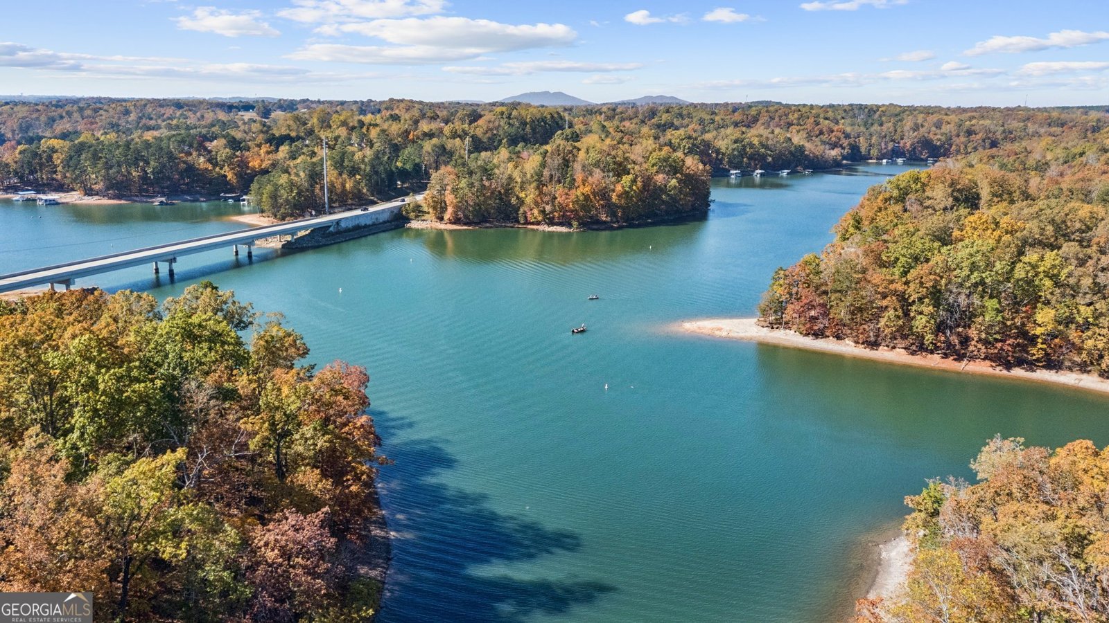 6265 Reives Road Cumming - 41