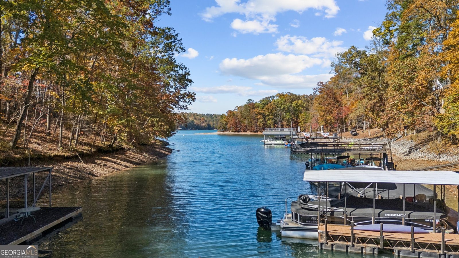 6265 Reives Road Cumming - 6