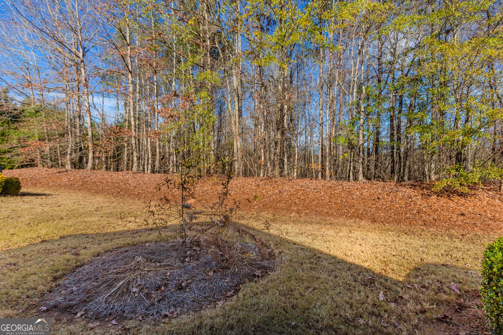 115 Creekside Court Griffin - 34