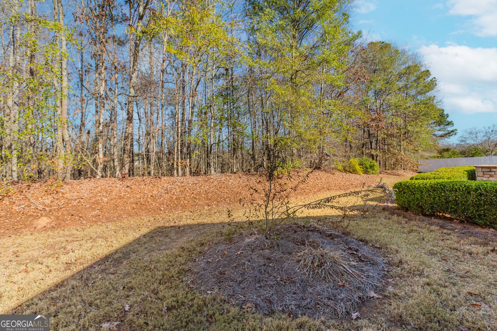 115 Creekside Court Griffin - 35