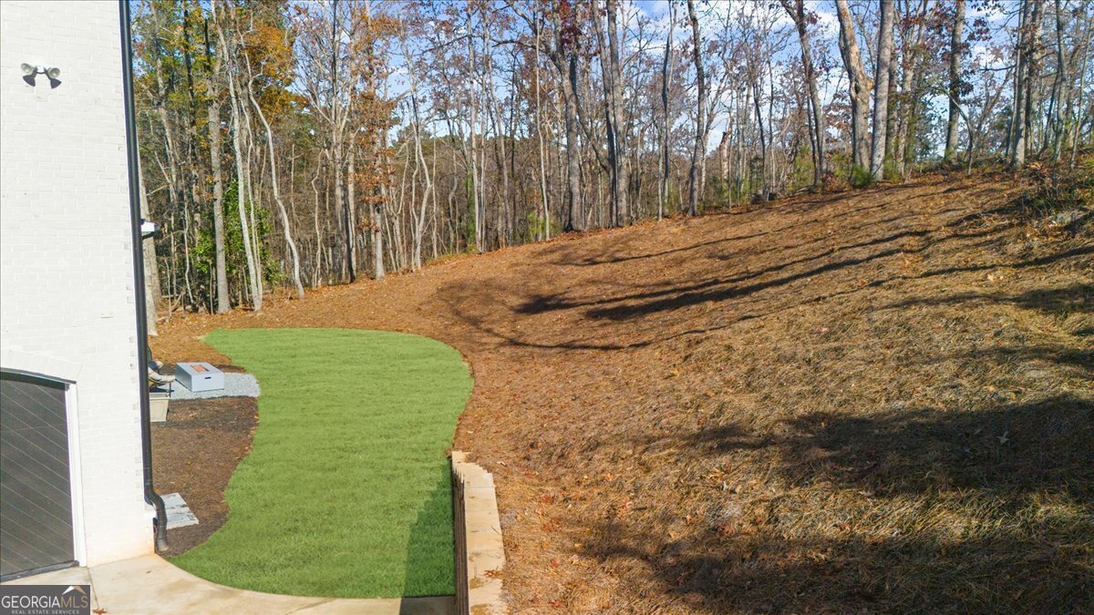 9773 Hightower Road Roswell - 67