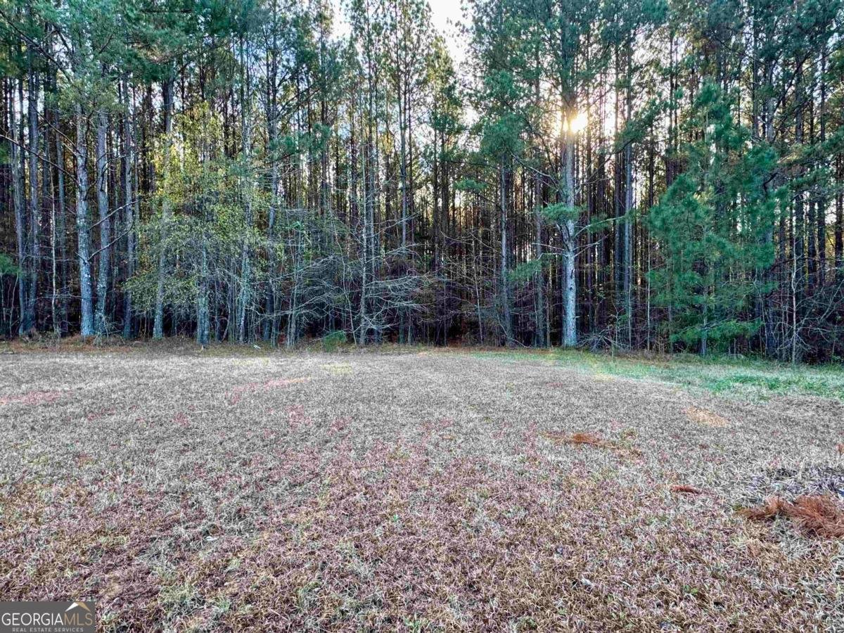 5401 Union Point Highway Union Point - 36