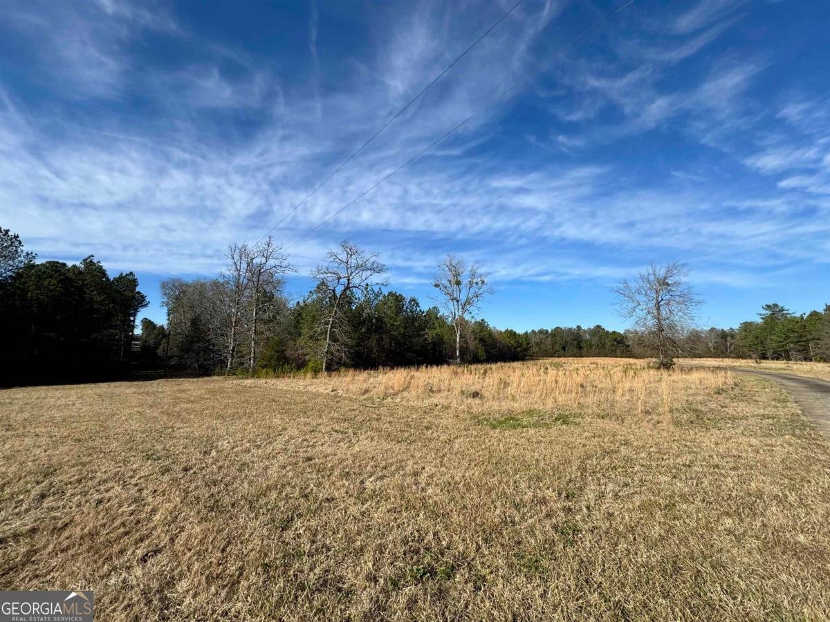 5401 Union Point Highway Union Point - 39