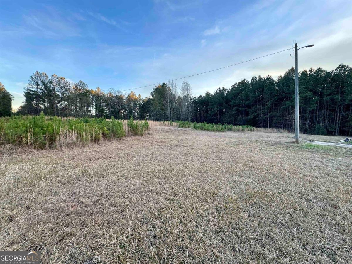 5401 Union Point Highway Union Point - 41