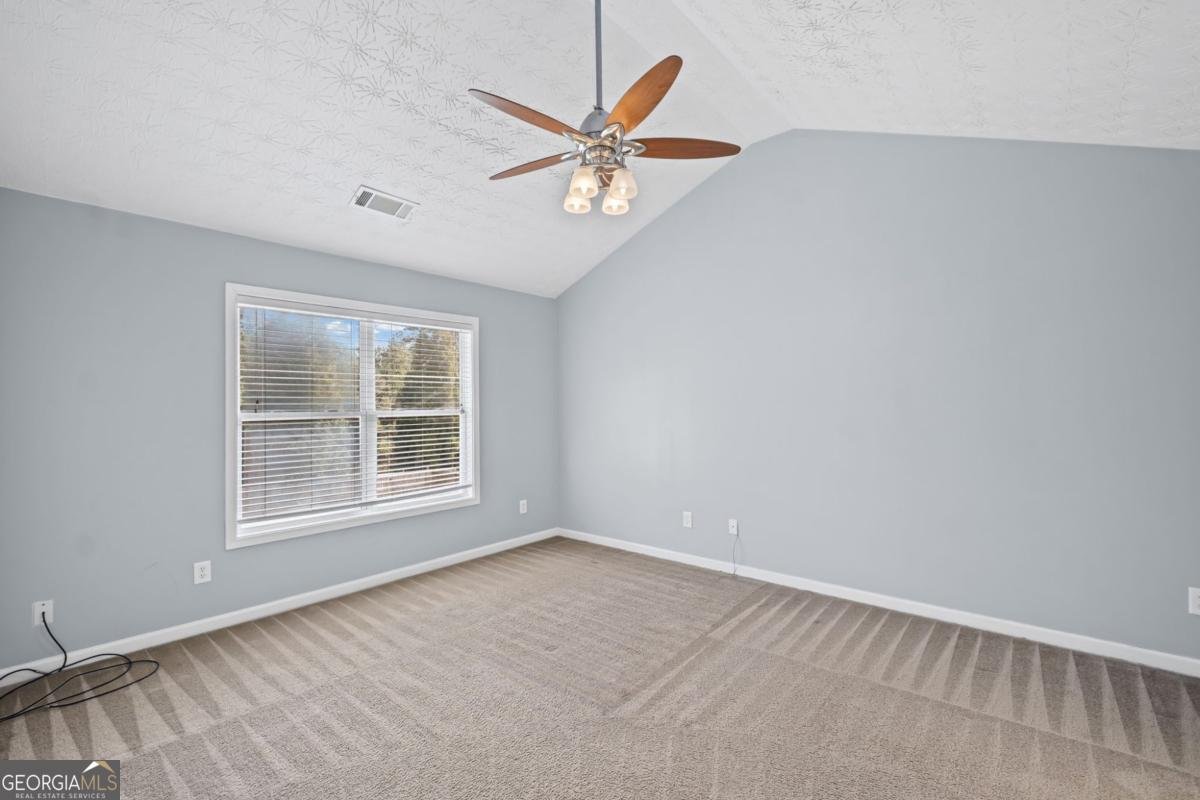 313 Woodland Pass Canton - 22