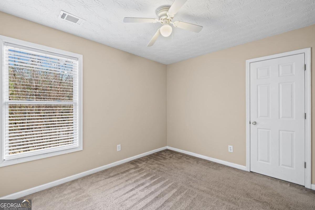 313 Woodland Pass Canton - 30