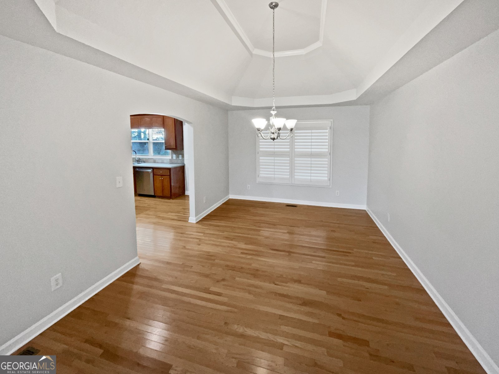 913 Whistler Lane Canton - 12