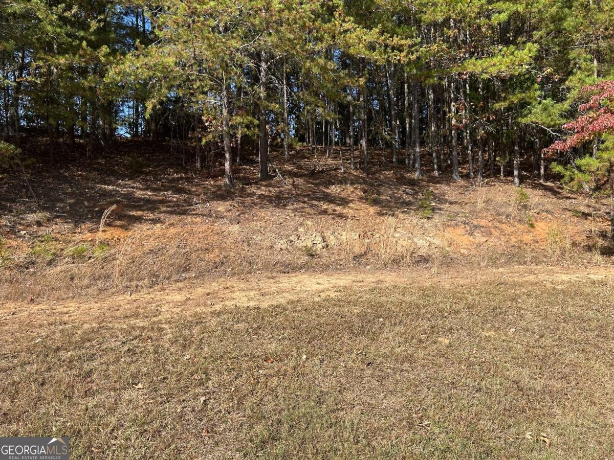 3031 Dawsonville Highway Gainesville - 8