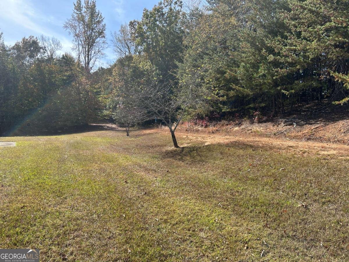 3031 Dawsonville Highway Gainesville - 9