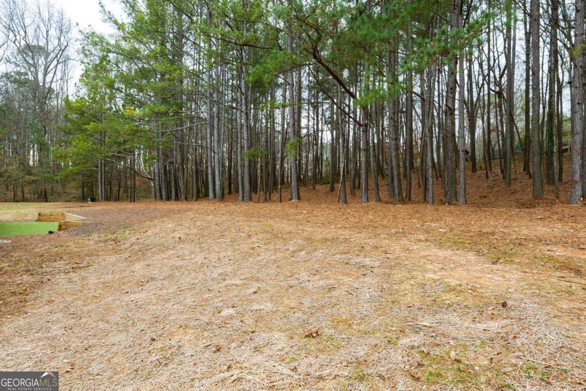 1488 BATESVILLE Road Canton - 50