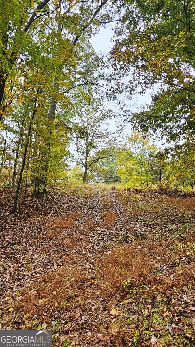 LOT 1 Snote Jones Road Dallas - 10