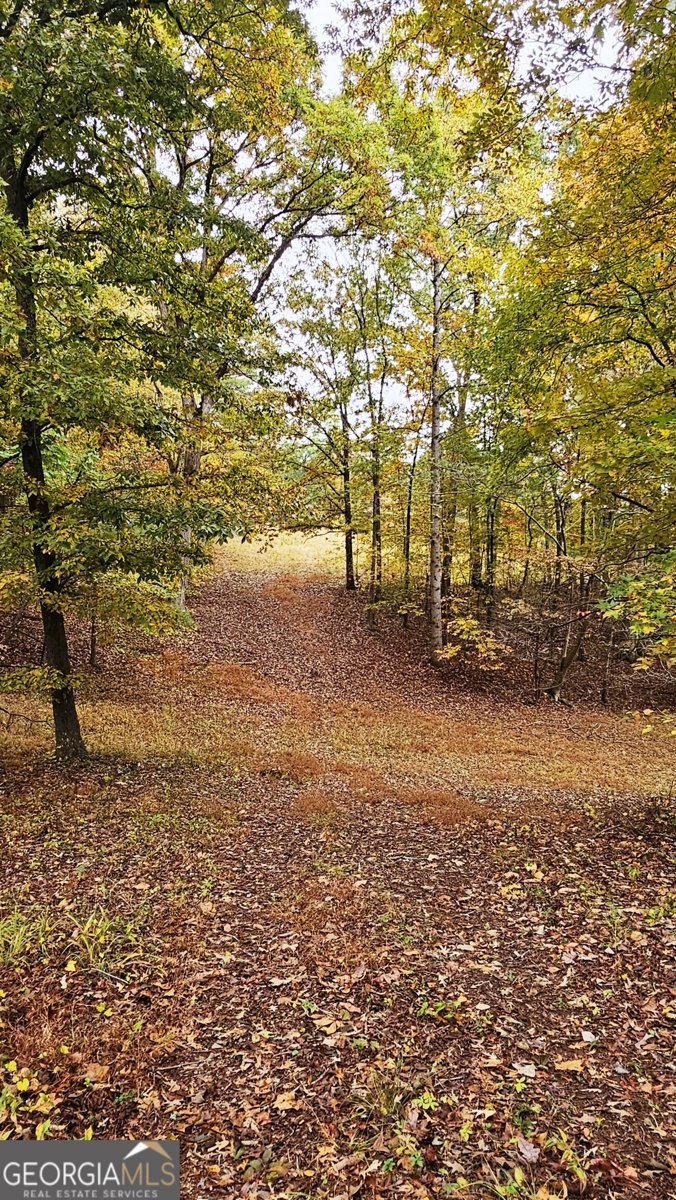 LOT 1 Snote Jones Road Dallas - 11