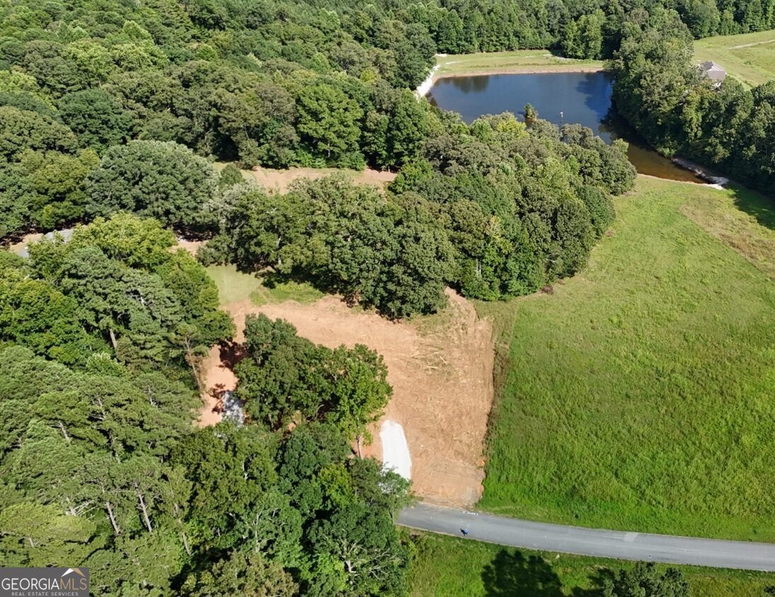 LOT 1 Snote Jones Road Dallas - 12