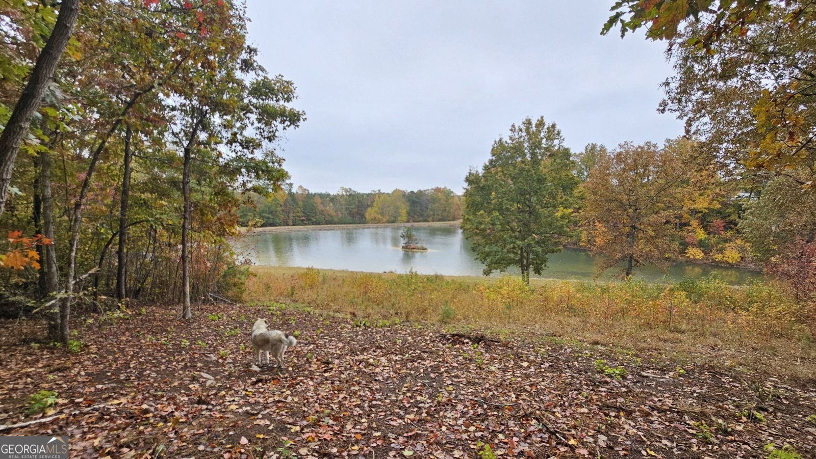 LOT 1 Snote Jones Road Dallas - 3