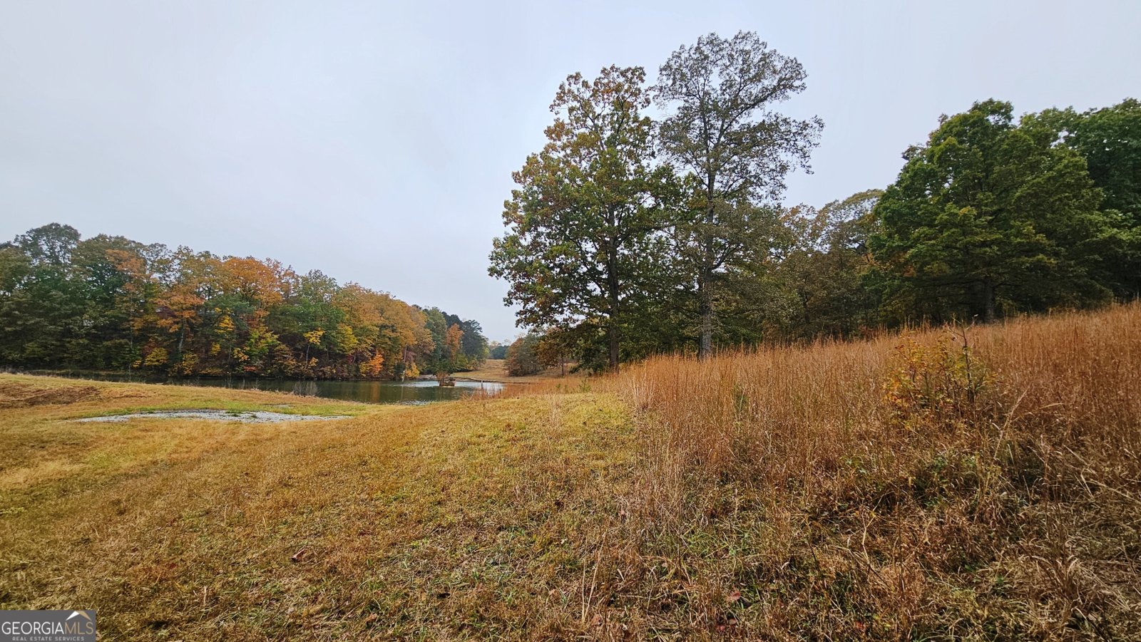 LOT 1 Snote Jones Road Dallas - 5