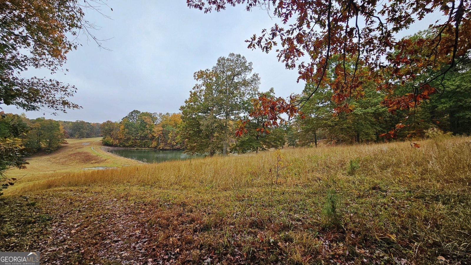 LOT 1 Snote Jones Road Dallas - 6